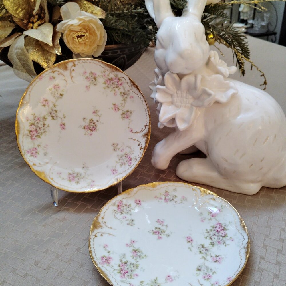 Theodore Haviland 2 Schleiger Limoges France Salad Plates